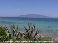 lo splendido mare di Pianosa. le spiagge dell'arcipelago toscano.