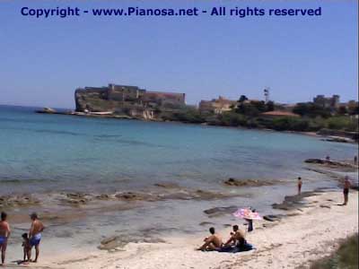 Cala Giovanna, la spiaggia e il mare di Pianosa, Non dimenticate la maschera, � un vero paradiso!