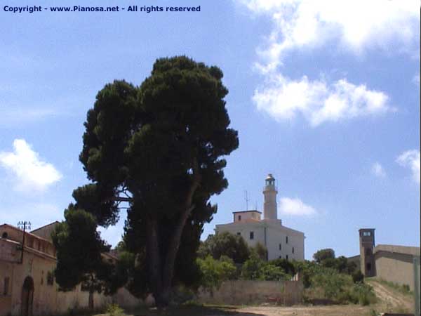 Il faro di Pianosa. Isola del Parco Nazionale Arcipelago Toscano.