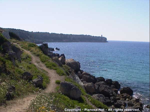 Pianosa, parco nazionale dell'arcipelago toscano. Isola di Pianosa.